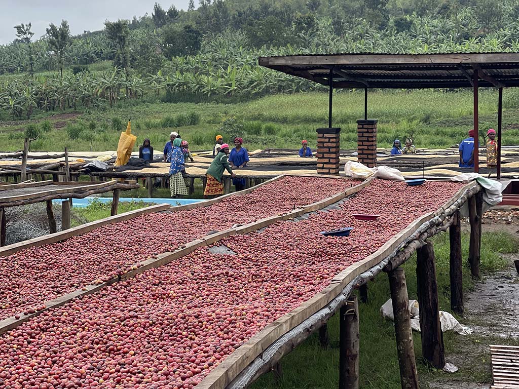 Breast cancer prevention project in Rwanda